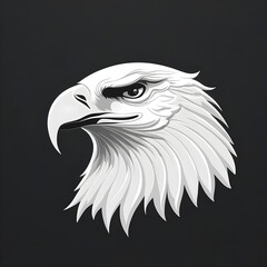 Fototapeta premium eagle head vector