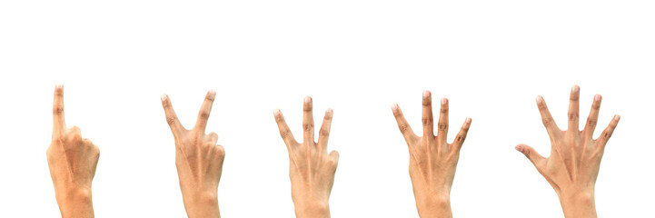 Close-up Hand Gestures Counting Numbers One to Five on White Background - Isolated Hands in Sequence - Perfect for Educational, Communication, and Visual Learning Concepts.