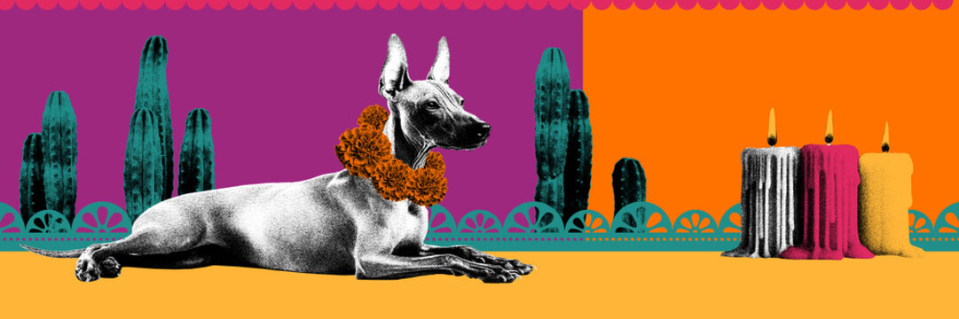 Xoloitzcuintli dog wearing flower garland, surrounded by cacti and candles, symbolizing the Mexican celebration of Dia de los Muertos and the cultural significance of this ancient breed. Banner