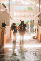 Young woman rider in equestrian uniform in stable saddles horse against background of bright rays of light. Horse riding training. She throws saddle on back of horse. Authentic village barn.