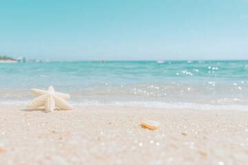 Starfish Seashell Beach Summer Vacation Tropical Ocean Coastline