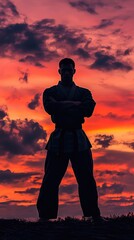 Fototapeta premium A powerful silhouette of a martial artist against a vibrant sunset sky, embodying strength, focus, and determination.