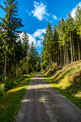 Herbstliche Wanderung durch den wunderschönen Thüringer Wald über den Kickelhahn bei Ilmenau - Thüringen - Deutschland