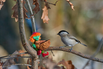 Winter Bird Feeding with Whimsical Toy and Sunflower Seeds on Forest Branch