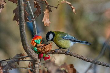 Winter Bird Feeding with Whimsical Toy and Sunflower Seeds on Forest Branch