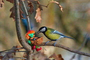 Winter Bird Feeding with Whimsical Toy and Sunflower Seeds on Forest Branch