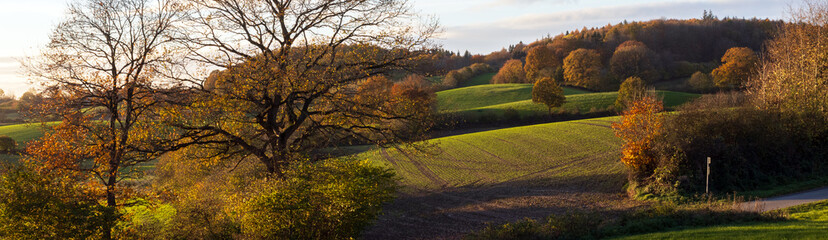 Malerische Herbstlandschaft mit Hügeln und Feldern.