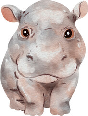 Obraz premium Cute Baby Hippo watercolor, hippopotamus illustration