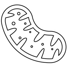 Mitochondria icon, mitochondrium, genome, health