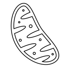 Mitochondria icon, mitochondrium, genome, health
