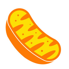 Mitochondria icon, mitochondrium, genome, health