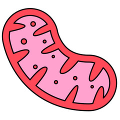 Mitochondria icon, mitochondrium, genome, health