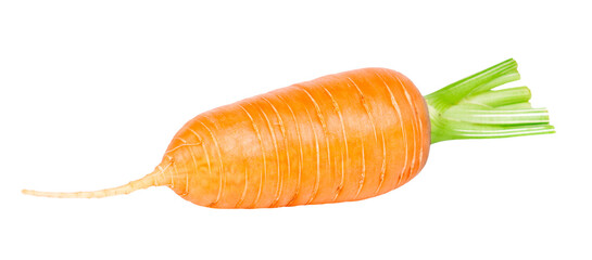 Carrot isolated on transparent background. Png format