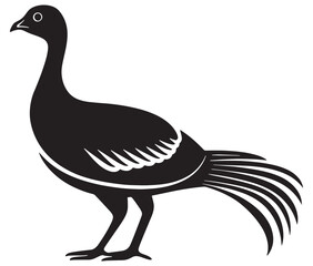 Illustration of a bird, Vector birds, Silhouette of a bird