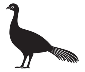 Illustration of a bird, Vector birds, Silhouette of a bird