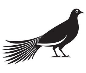 Illustration of a bird, Vector birds, Silhouette of a bird