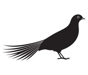 Illustration of a bird, Vector birds, Silhouette of a bird
