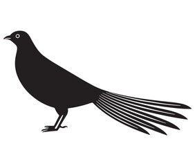 Illustration of a bird, Vector birds, Silhouette of a bird