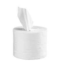 roll of toilet paper isolated