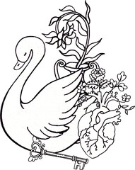 A swan swims gracefully with beautiful wings beside a heart adorned with small flowers and a key, hand-drawn line art  illustration