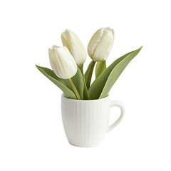 White Tulips in a White Mug