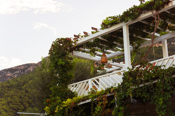 A beautiful white pergola adorned with lush ivy growing on it
