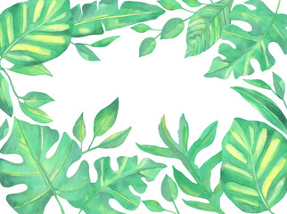 Watercolor Green Tropical Leaves on a white background.