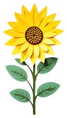 Fototapeta premium PNG Mini sunflower plant inflorescence creativity.