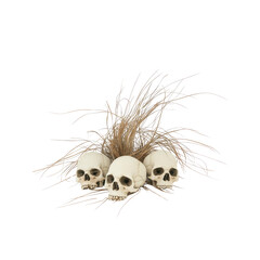 Skulls and Dried Grass