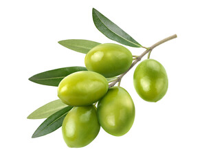 Green olives with leaves isolated on white background. Clipping path.