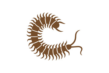 Centipede vector silhouette isolated in white background