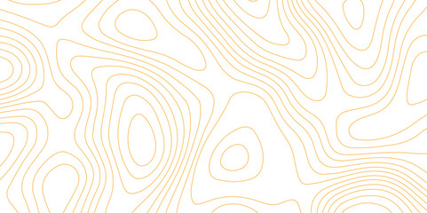 Panorama view gradient multicolor wave curve lines banner background design. Vector illustration. wave Line topography map contour background .Abstract Topographic map background with wave line.	