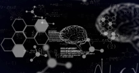 Image of brain, molecules and data processing with mathematical equations on black background