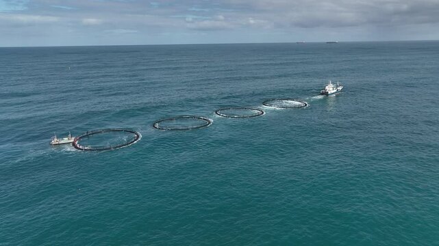 A Mid sized marine vessel tows four fish farms along the west Australian coast.