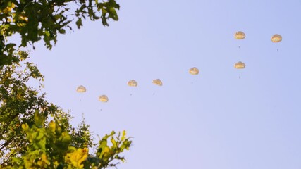 A group of parachutists in yellow canopies descends in a line formation, framed by tree foliage in the foreground. Captured during a military exercise on a clear day at Ginkelse Heide, Netherlands