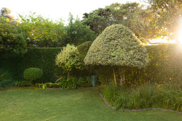 Outdoors, Sunlight shining through trees in beautifully landscaped garden with lush greenery, copy s