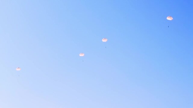 Parachutists float down with white parachutes against a clear blue sky. Captured during a military air drop at Ginkelse Heide, Netherlands. This image shows coordinated airborne maneuvers in action