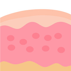 Illustration of human skin