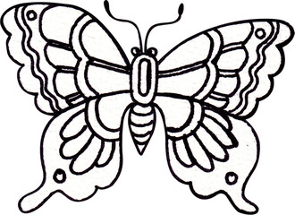 A butterfly spreading its wings with beautiful patterns, viewed from above, Line art, hand-drawn line art illustration