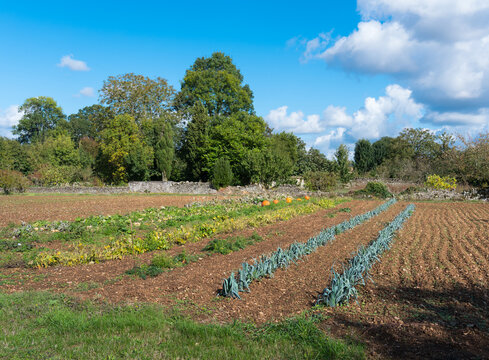 potager