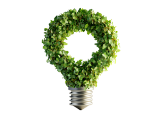 Light bulb shaped green plant wreath on a white isolated background. transparent background