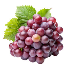 Fototapeta premium grape isolate on transparency background
