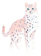 PNG Cat drawing animal mammal.