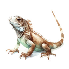 Fototapeta premium Cute Iguana Watercolor Illustration on White Background