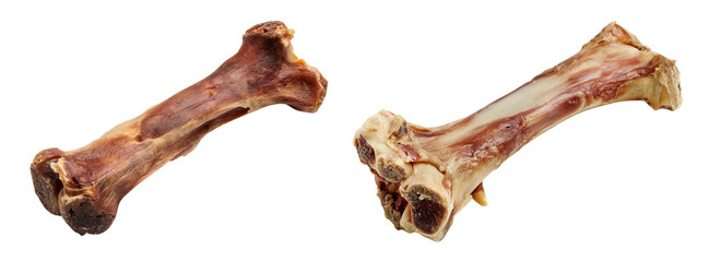 Fototapeta premium Closeup view of single dog bone isolated on a transparent background, pet related content PNG