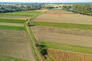 Aerial view of vast agricultural fields showcasing green and brown patches, with a winding path cut through the crops, reflecting nature's beauty and rural tranquility.