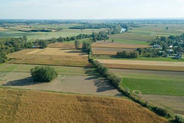 Naklejka premium Aerial view of lush green and golden agricultural fields with a winding river under a bright sky