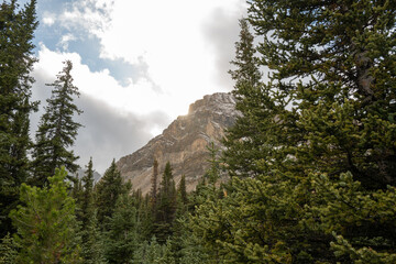 Photos of golden larches on Skoki Loop hike around Skoki Lodge. Includes views of the trail, mountains and lakes around the trail. Skoki Lodge is near Lake Louise, Alberta, Canada.