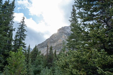 Photos of golden larches on Skoki Loop hike around Skoki Lodge. Includes views of the trail, mountains and lakes around the trail. Skoki Lodge is near Lake Louise, Alberta, Canada.