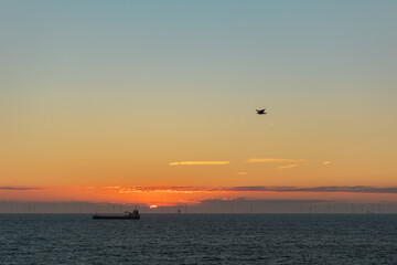 Seagull and a transport ship near the setting sun on the North Sea. Offshore wind farm in the background.